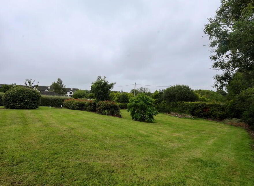 Castletown, Delvin, N91A329