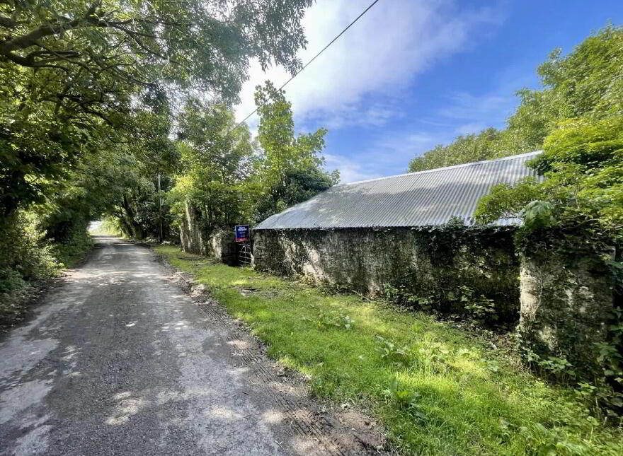 Site, With Dwelling & Outbuildings, Ballyvooney, Stradbally photo