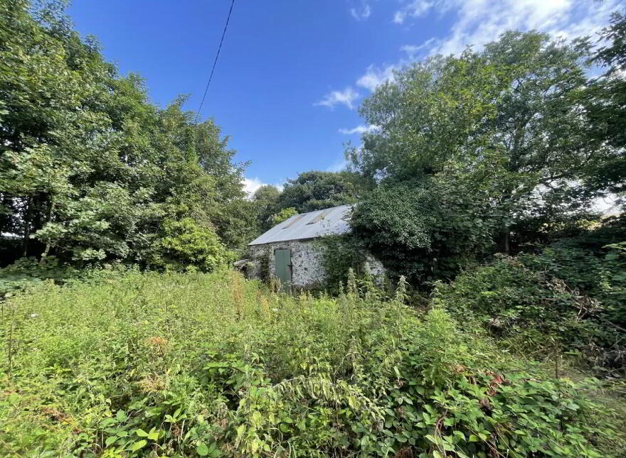 Site, With Dwelling & Outbuildings, Ballyvooney, Stradbally