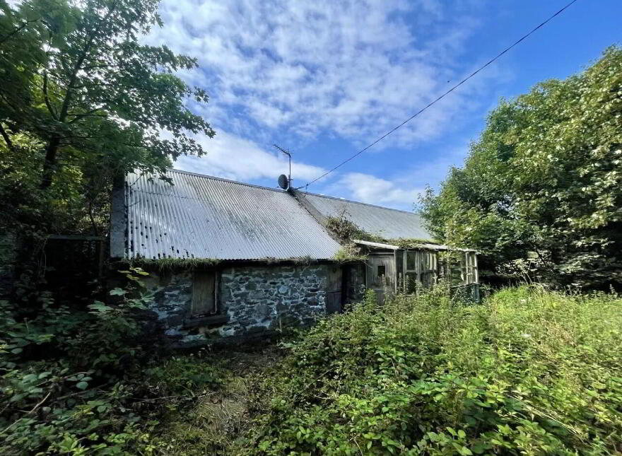 Site, With Dwelling & Outbuildings, Ballyvooney, Stradbally