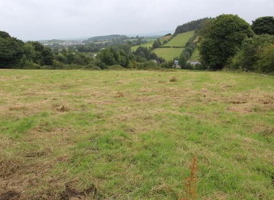 Site 1 Knockavolis, Castleblayney, Monaghan photo