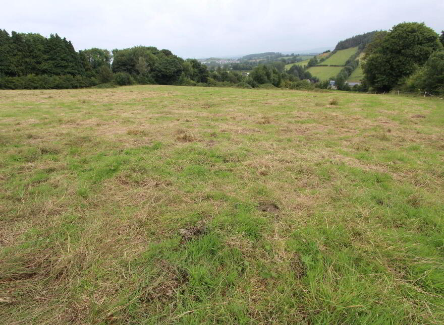 Knockavolis, Castleblayney