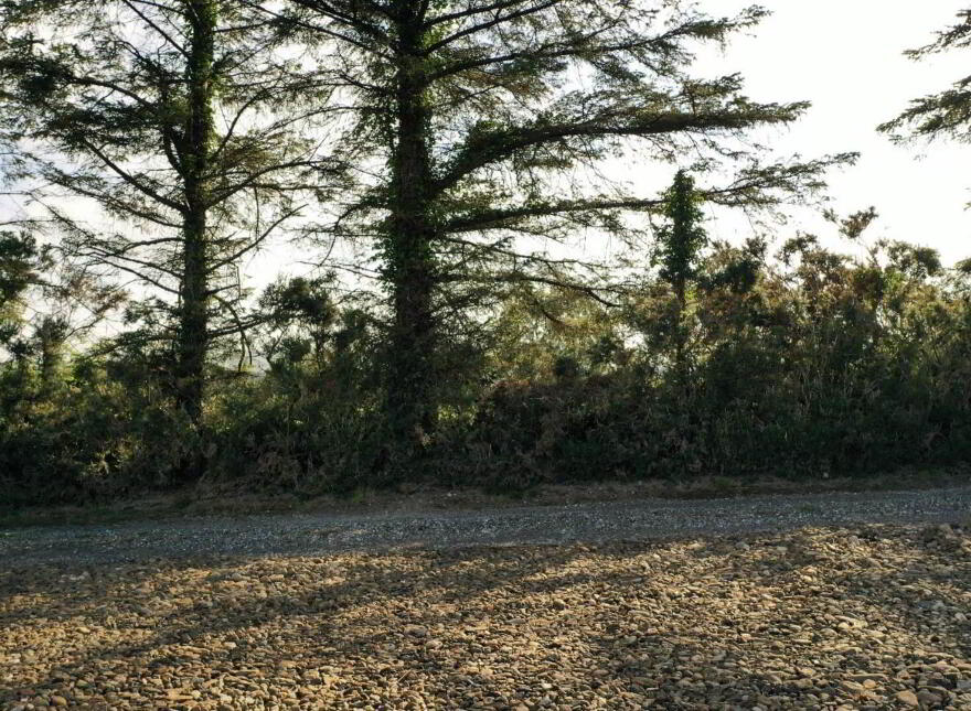 North Of, 279 Longland Road, Claudy, BT47 4AH