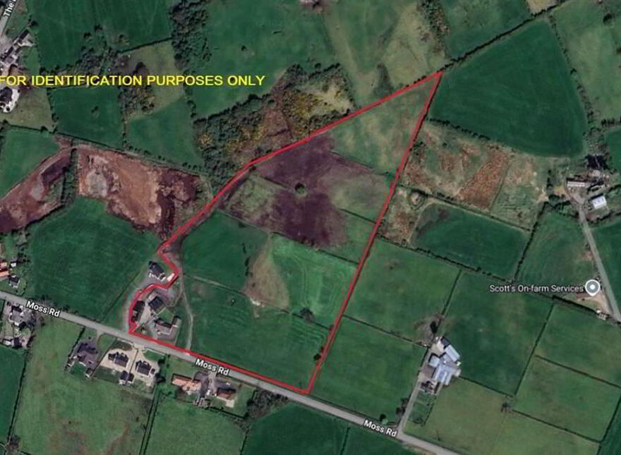 50 Moss Road, Ballygowan, BT23 6DH