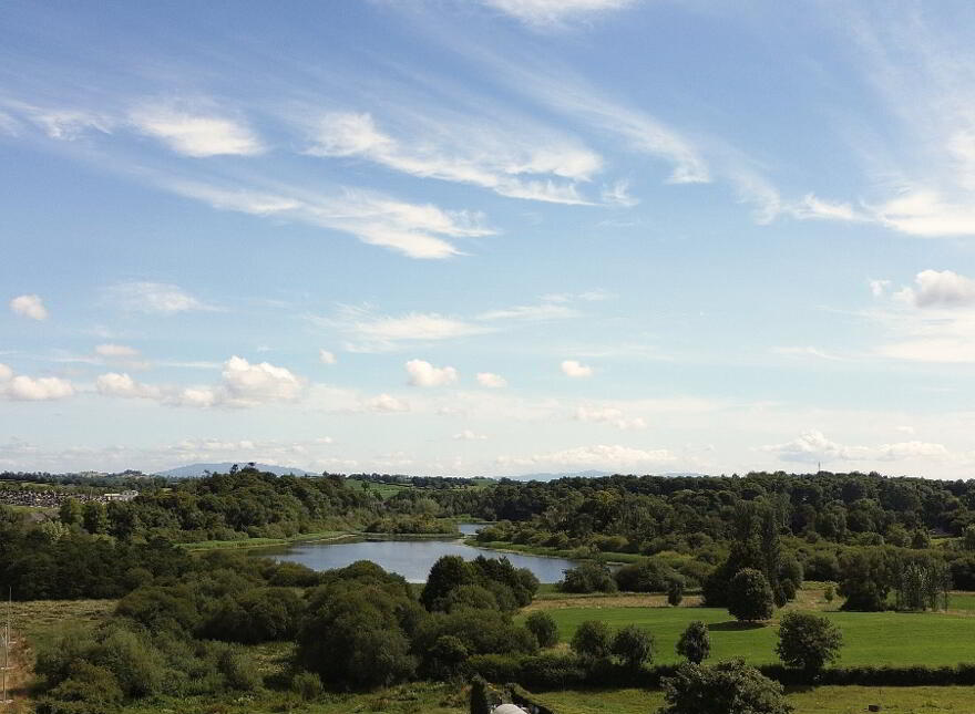 Tullynaskeagh, Ardee Road, Carrickmacross, A81T922