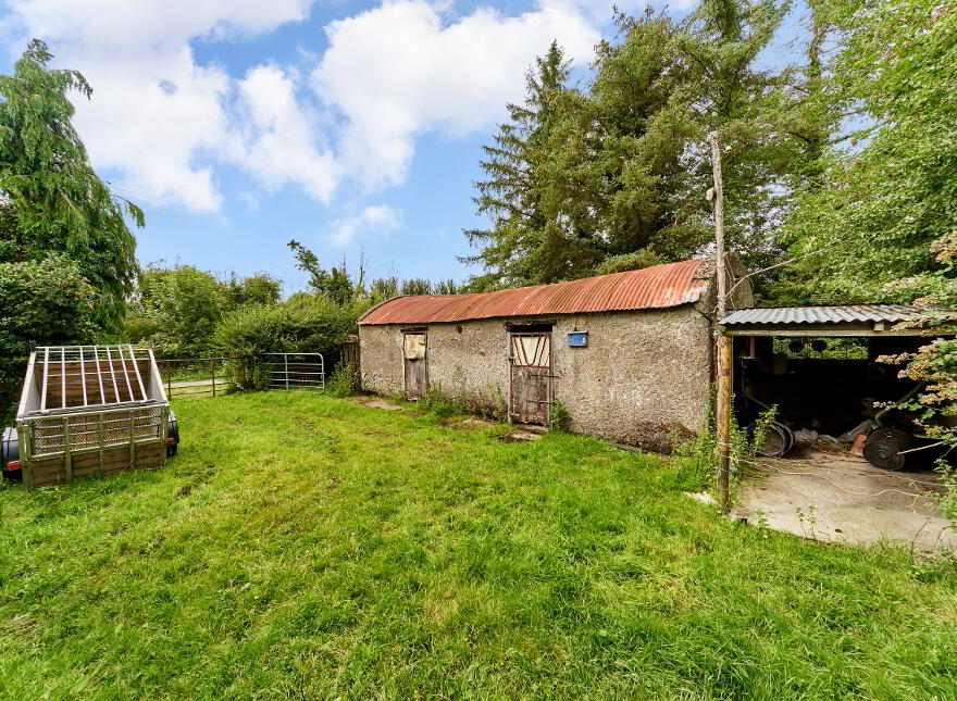 Drissogue, Athboy, C15TX01