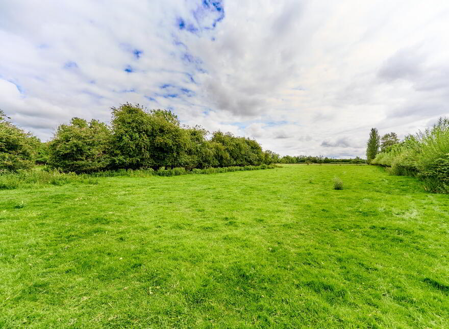 Drissogue, Athboy, C15TX01