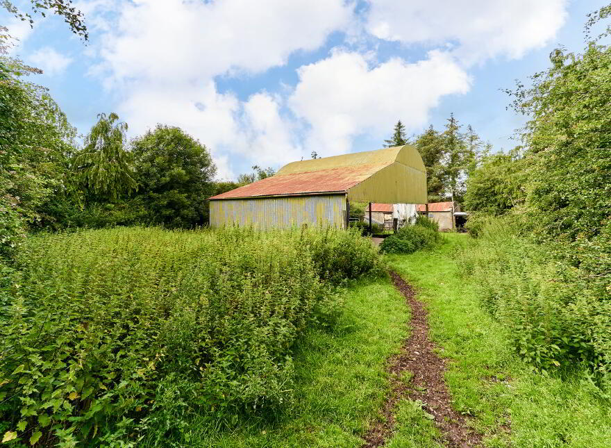Drissogue, Athboy, C15TX01