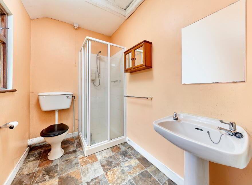 Drissogue, Athboy, C15TX01