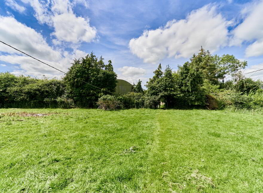 Drissogue, Athboy, C15TX01