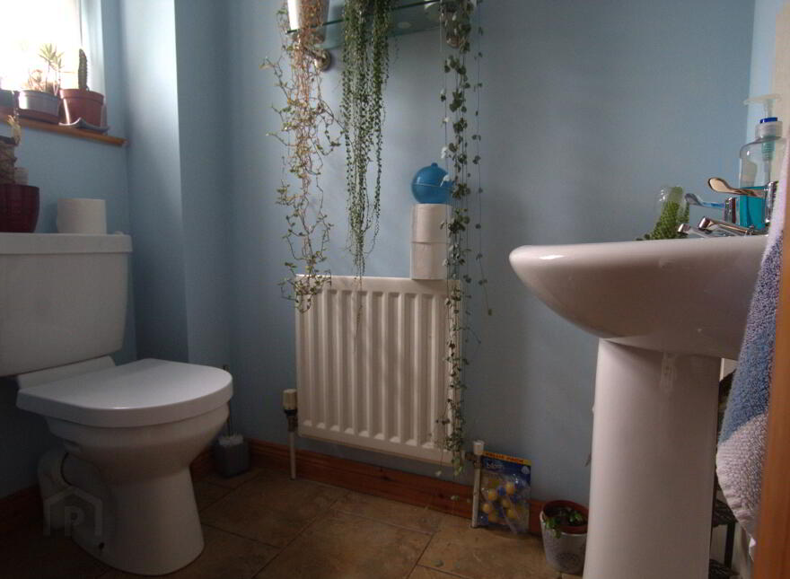 3 Castletown Mews, Fintona, Fintona, Omagh, BT78 2BX
