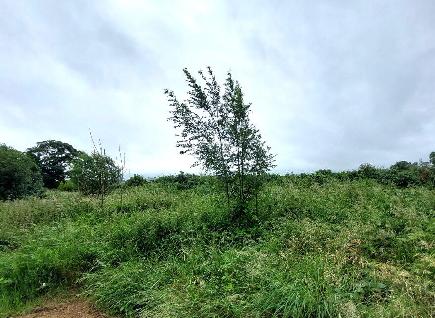 Kilclean Road, Castlederg, BT81 7EF