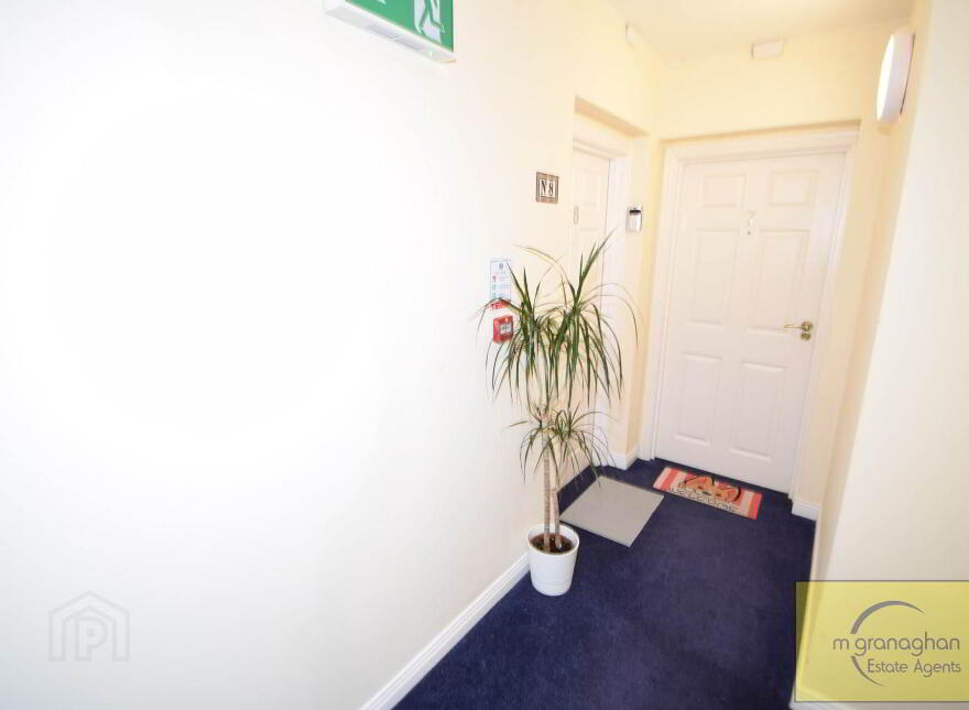 Apt 8, St Marys Gardens, Falls Road, Belfast, BT12 7LG