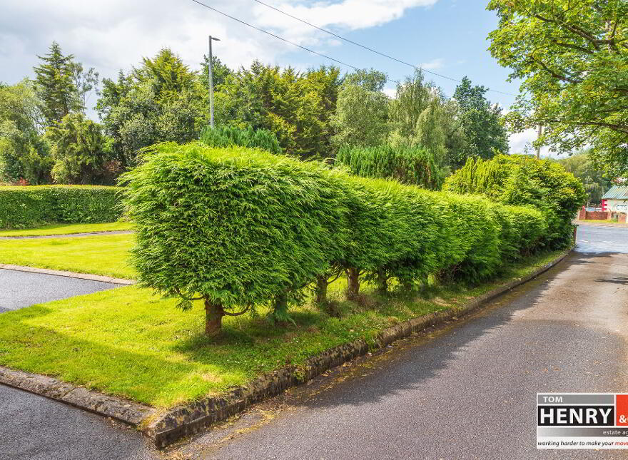 "Ledlie Villa", 60 Dungannon Road, Coalisland, Dungannon, BT71 4HT