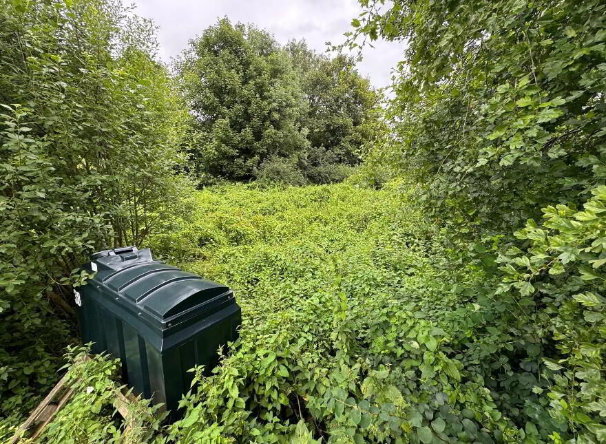 Gardens Behind 38 & 40 Church Street, Church Street, Cookstown, BT80 8HY photo