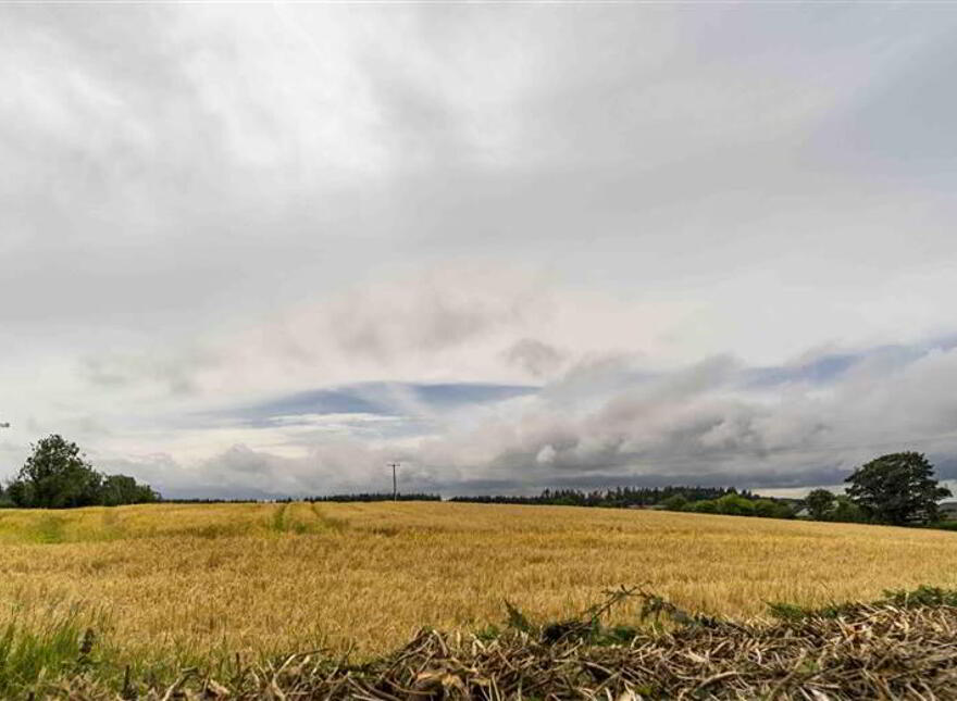 21 Comber Road, Royal Hillsborough, BT26 6LN