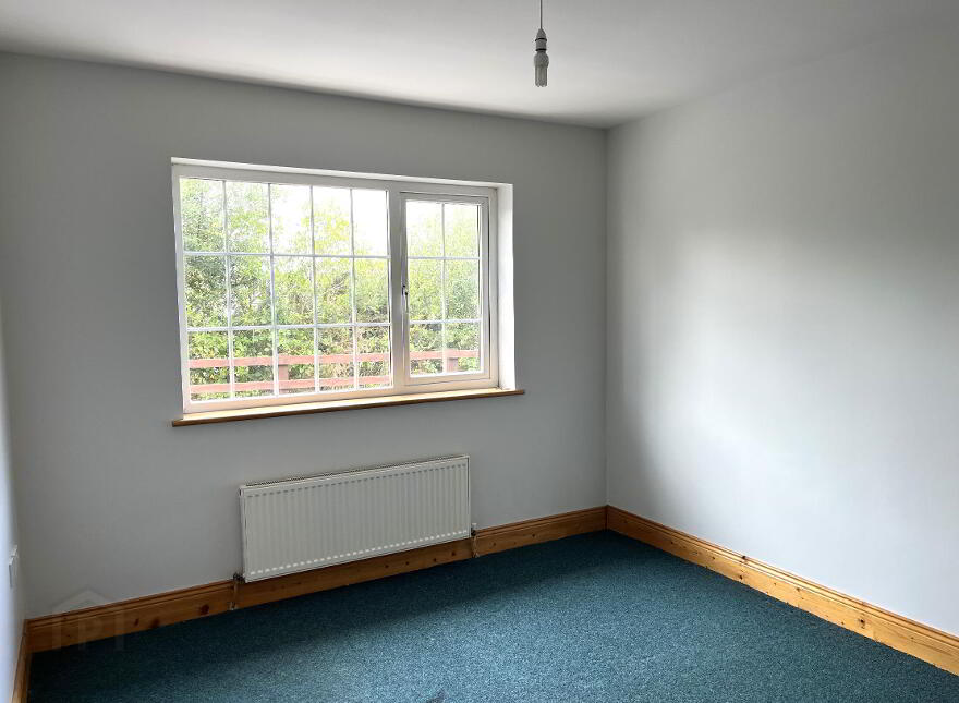Fairgreen, Kilmacthomas, X42XT86