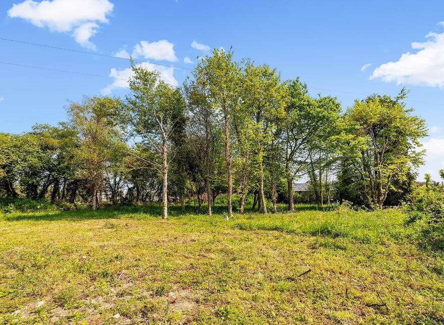 Fanagh, Donadea, W91W8C3