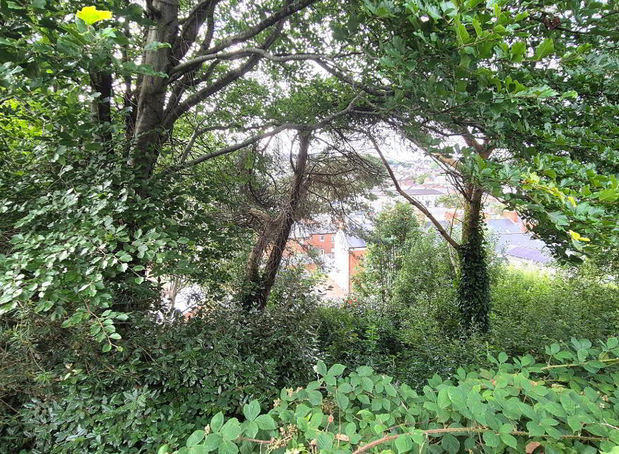 10 Fahan Street, Derry, BT48 6AQ