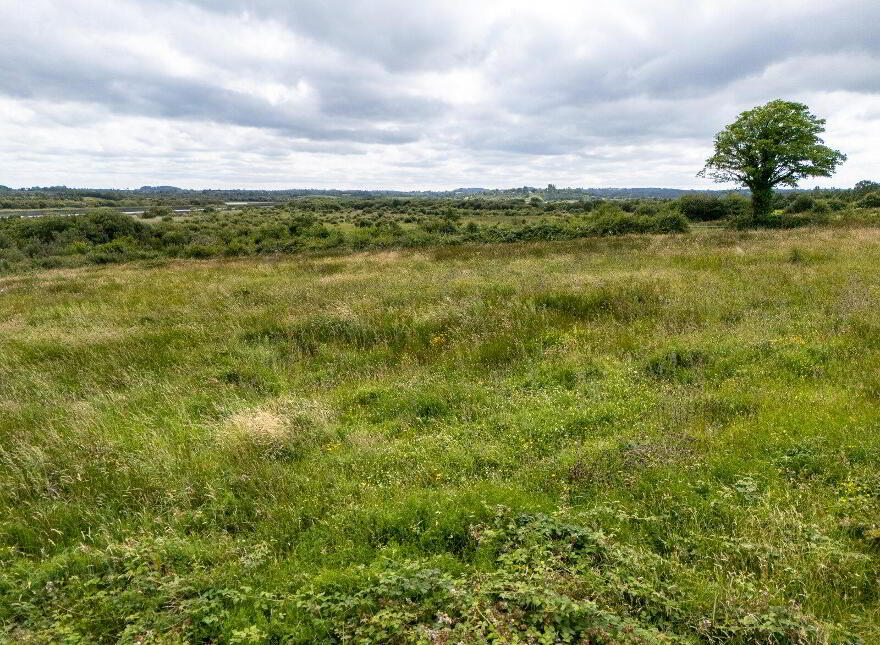 Lands, At Cleaheen Cottages, Folio Rn19100 (for Id), Cootehall, F52EH60