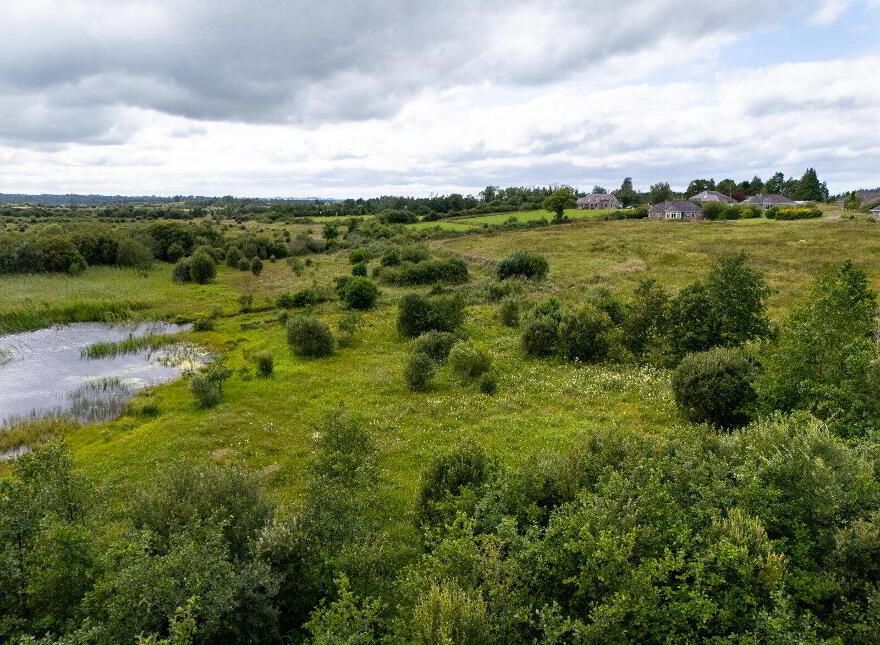 Lands, At Cleaheen Cottages, Folio Rn19100 (for Id), Cootehall, F52EH60