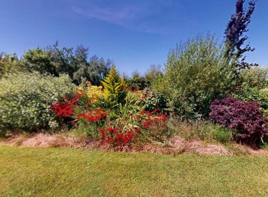 Fenagh Lodge, Vernegly, Bannow, Y35D990