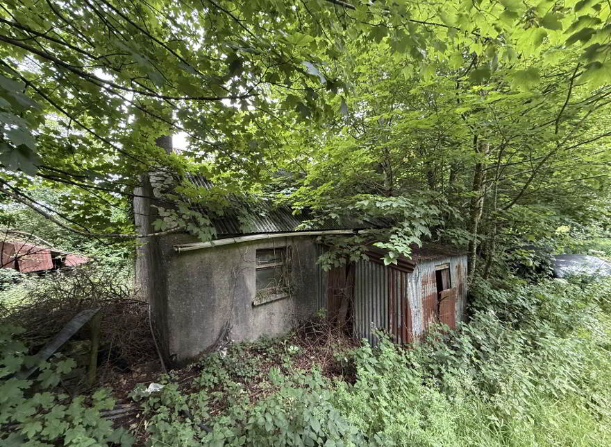 Cornacarta, Tulrahan, Claremorris, F12X571 photo