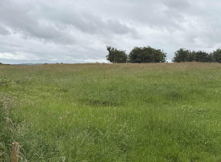 Cornacarta, Tulrahan, Claremorris, F12X571