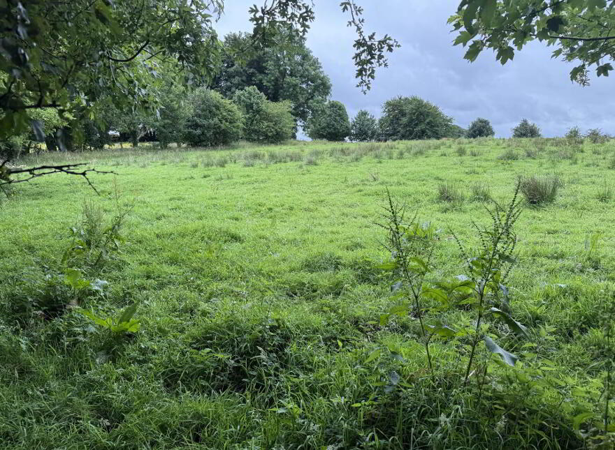 Cornacarta, Tulrahan, Claremorris, F12X571