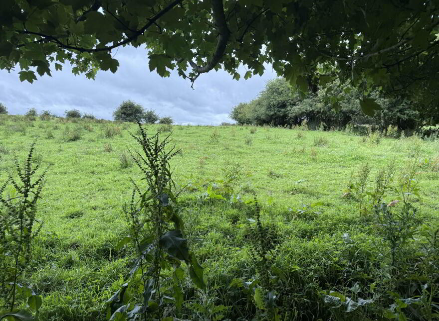 Cornacarta, Tulrahan, Claremorris, F12X571