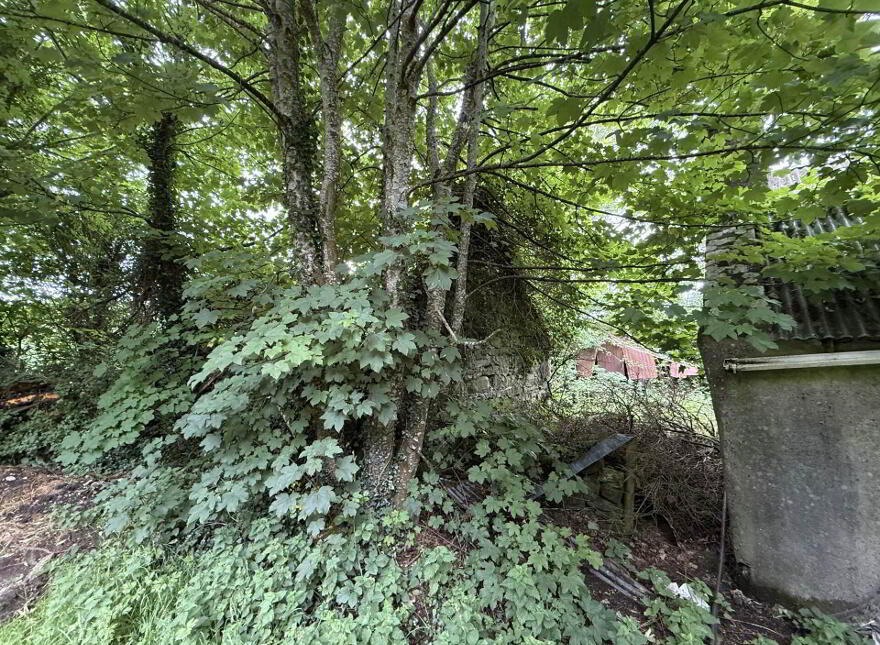 Cornacarta, Tulrahan, Claremorris, F12X571