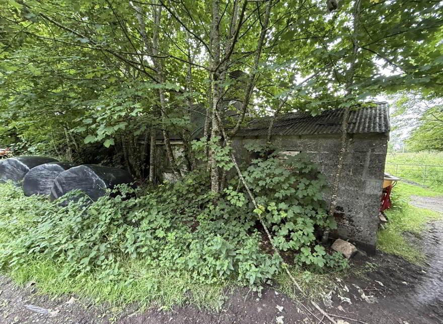 Cornacarta, Tulrahan, Claremorris, F12X571