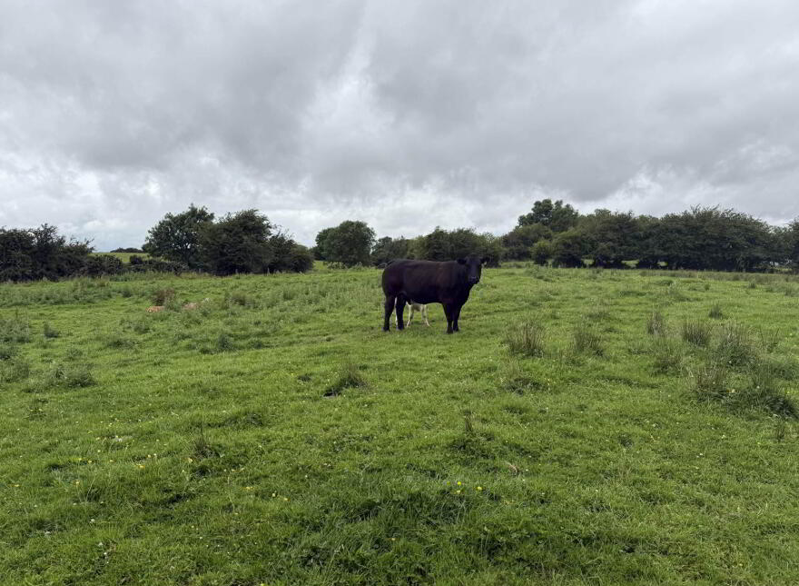 Cornacarta, Tulrahan, Claremorris, F12X571