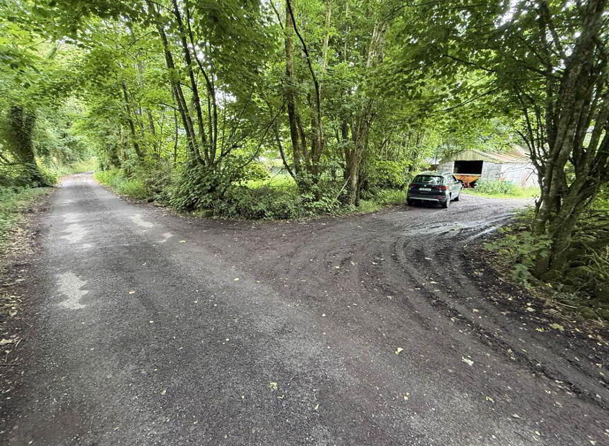 Cornacarta, Tulrahan, Claremorris, F12X571