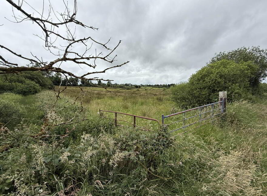 Cornacarta, Tulrahan, Claremorris, F12X571