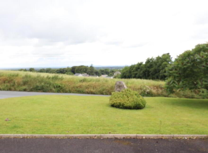 Ballyroe Upper, Kilfinane, V35W248