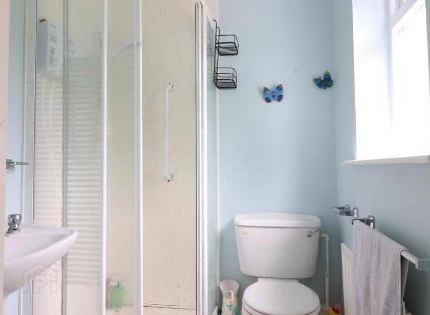 Ballyroe Upper, Kilfinane, V35W248