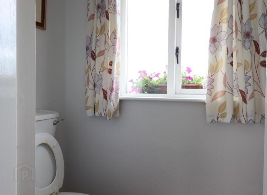 Ballyroe Upper, Kilfinane, V35W248