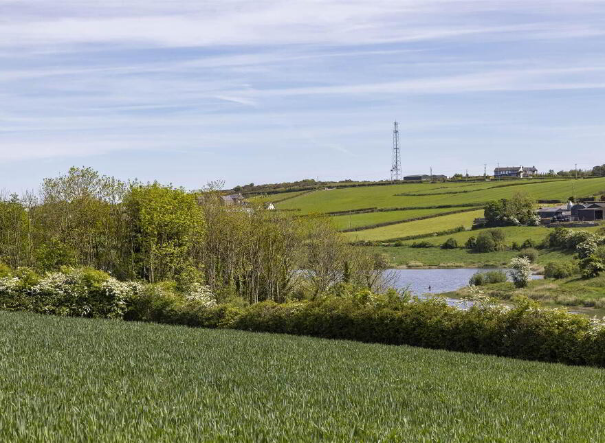 2, Prime Agricultural Land @, 42 Moss Road, Off Ballymiscaw Road, Holywood, BT18 9RU