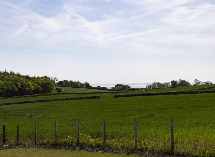 2, Prime Agricultural Land @, 42 Moss Road, Off Ballymiscaw Road, Holywood, BT18 9RU