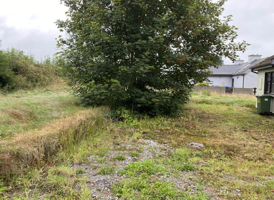 Rossbane, Ballyagran, Kilmallock, V35RK22