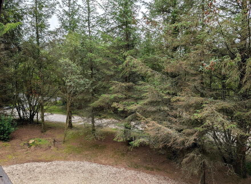 9 River Valley, Ballyconnell, H14FK58