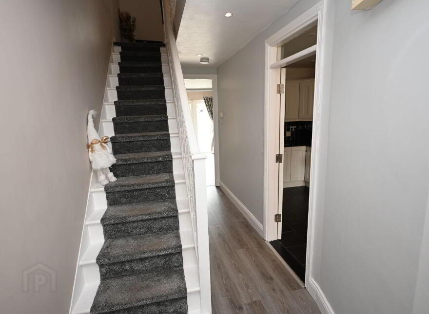 51 Seanabothair, Killeens