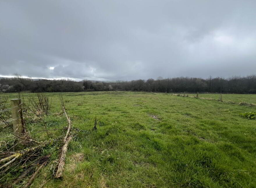 Site B Ballylanigan, Mullinahone