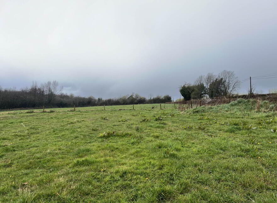 Site B Ballylanigan, Mullinahone