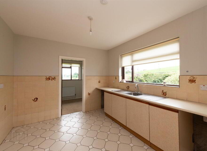 98 Back Road, Drumbo, Lisburn, BT27 5LB