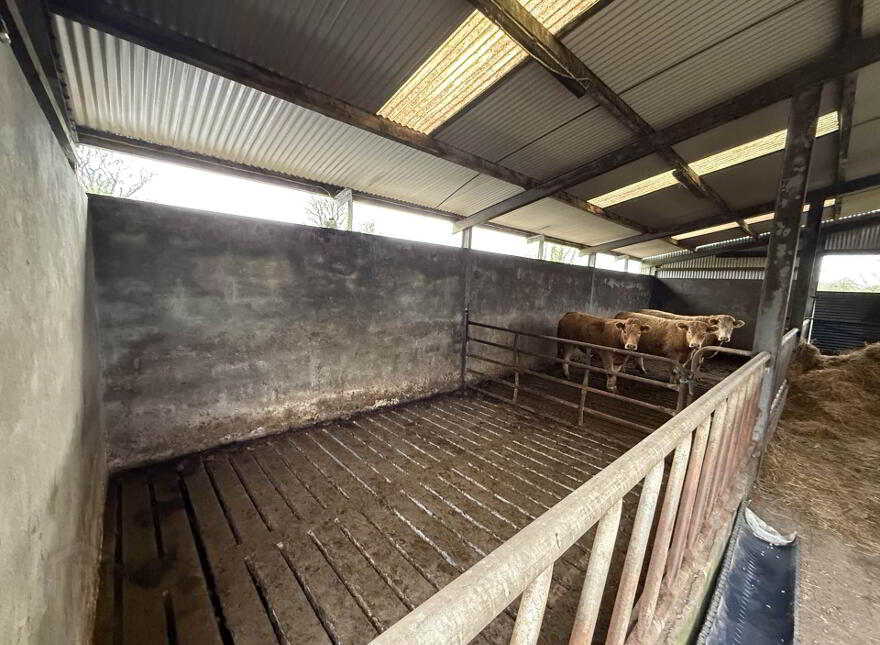 Moigh Lower, Ballyhaunis, Cloonfad, F35DW96