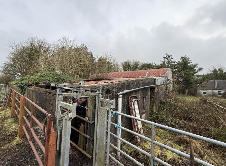 Moigh Lower, Ballyhaunis, Cloonfad, F35DW96
