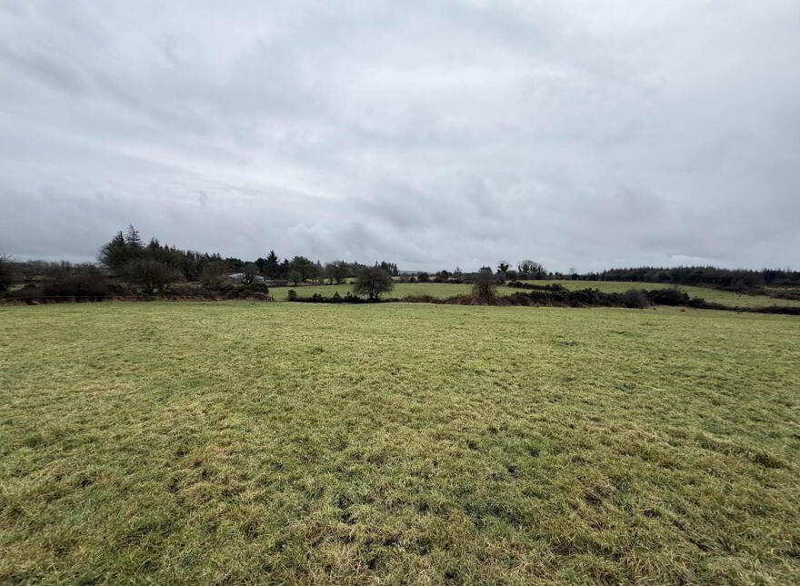 Moigh Lower, Ballyhaunis, Cloonfad, F35DW96