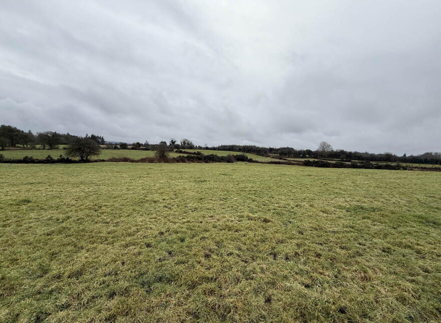 Moigh Lower, Ballyhaunis, Cloonfad, F35DW96